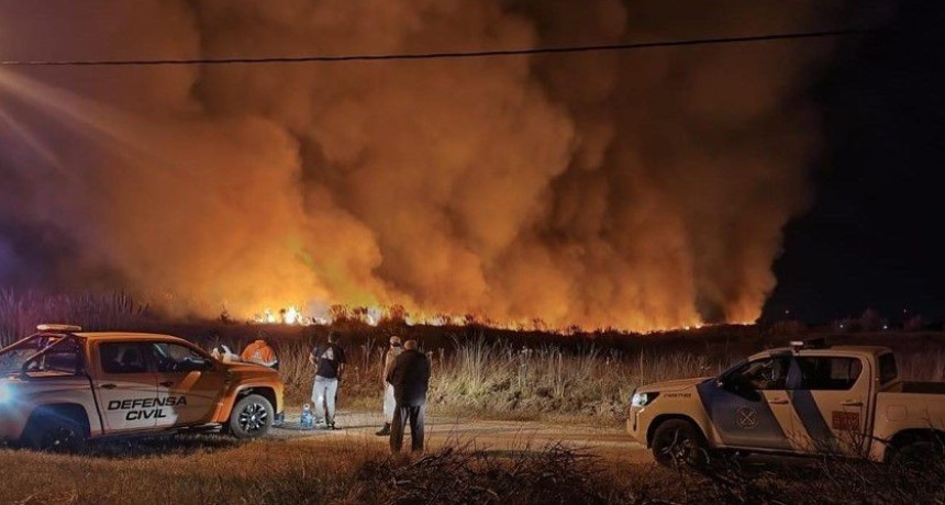 Bomberos de Prefectura combatieron dos incendios rurales en el sur del Partido de General Pueyrred&oacute;n