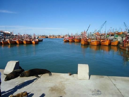 El temporal que cambi&oacute; los colores del puerto y le dio nombre a una calle